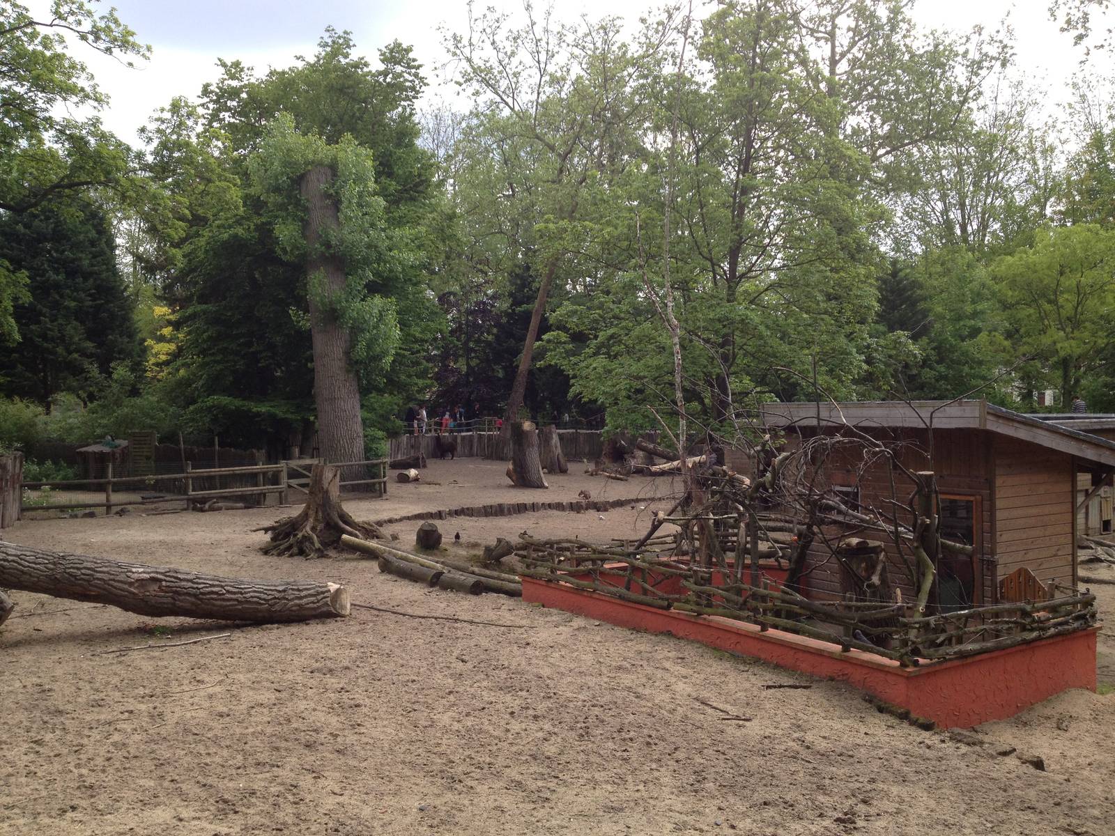 Lille Zoo South American paddock