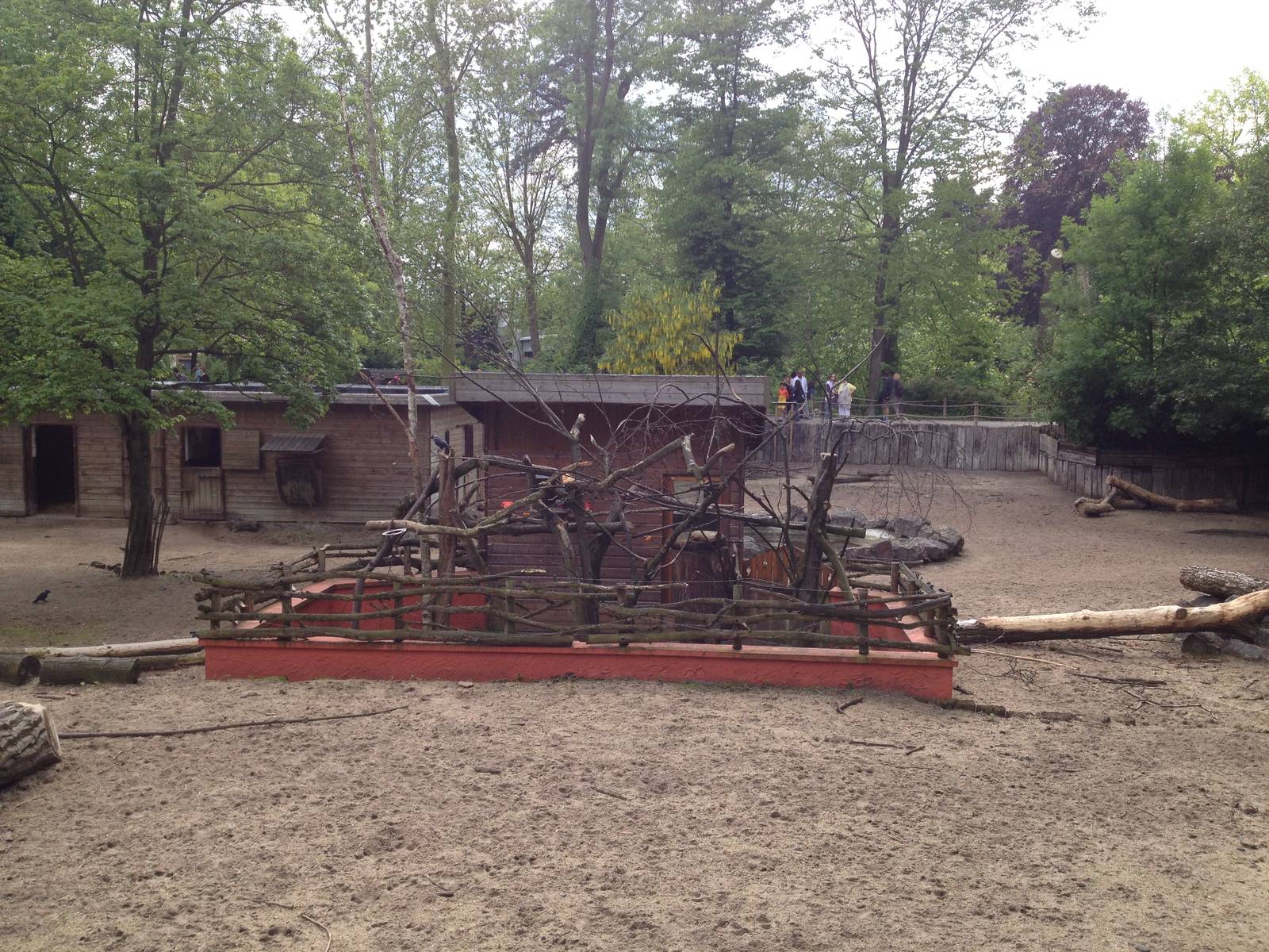 Lille Zoo South American paddock