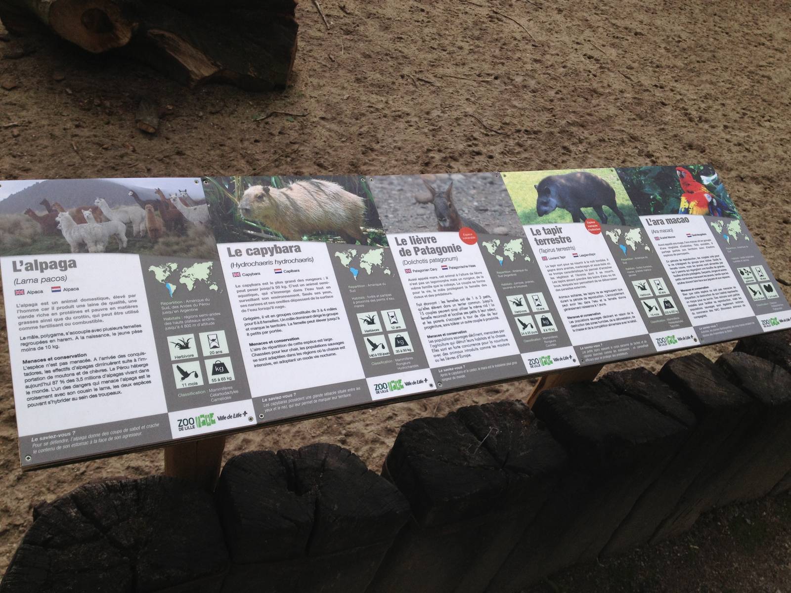 Lille Zoo South American paddock