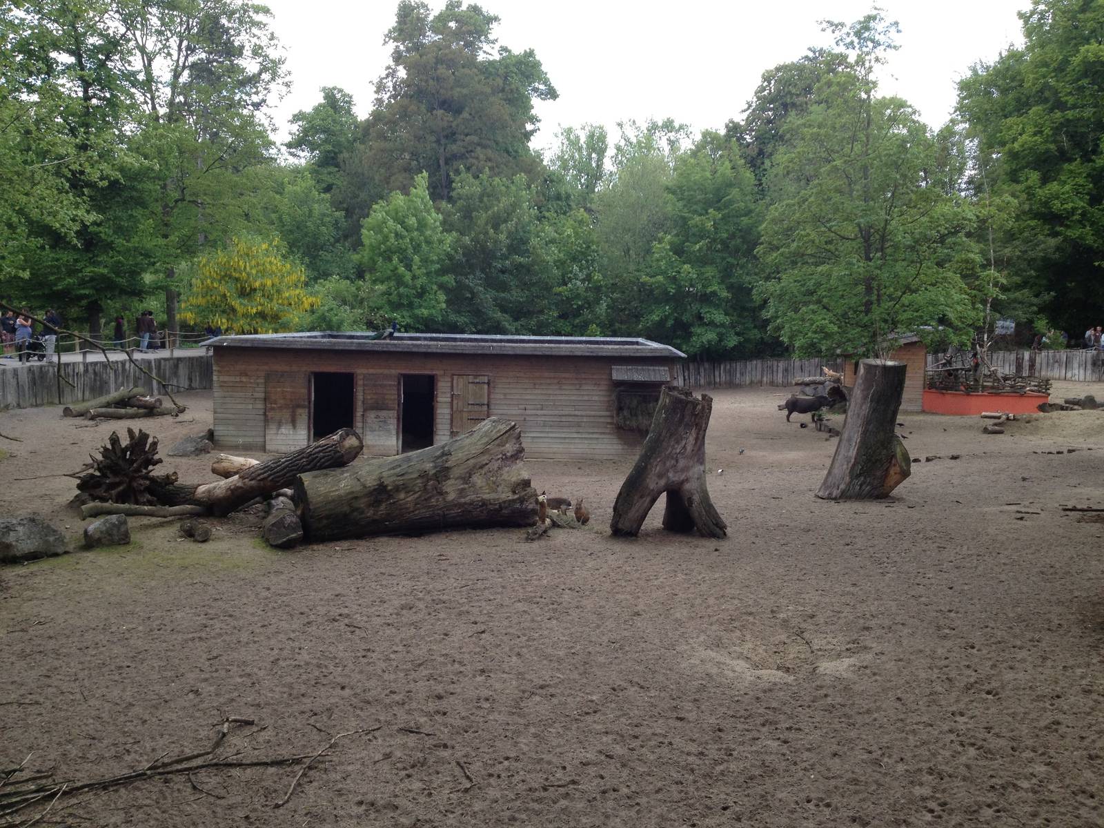 Lille Zoo South American paddock