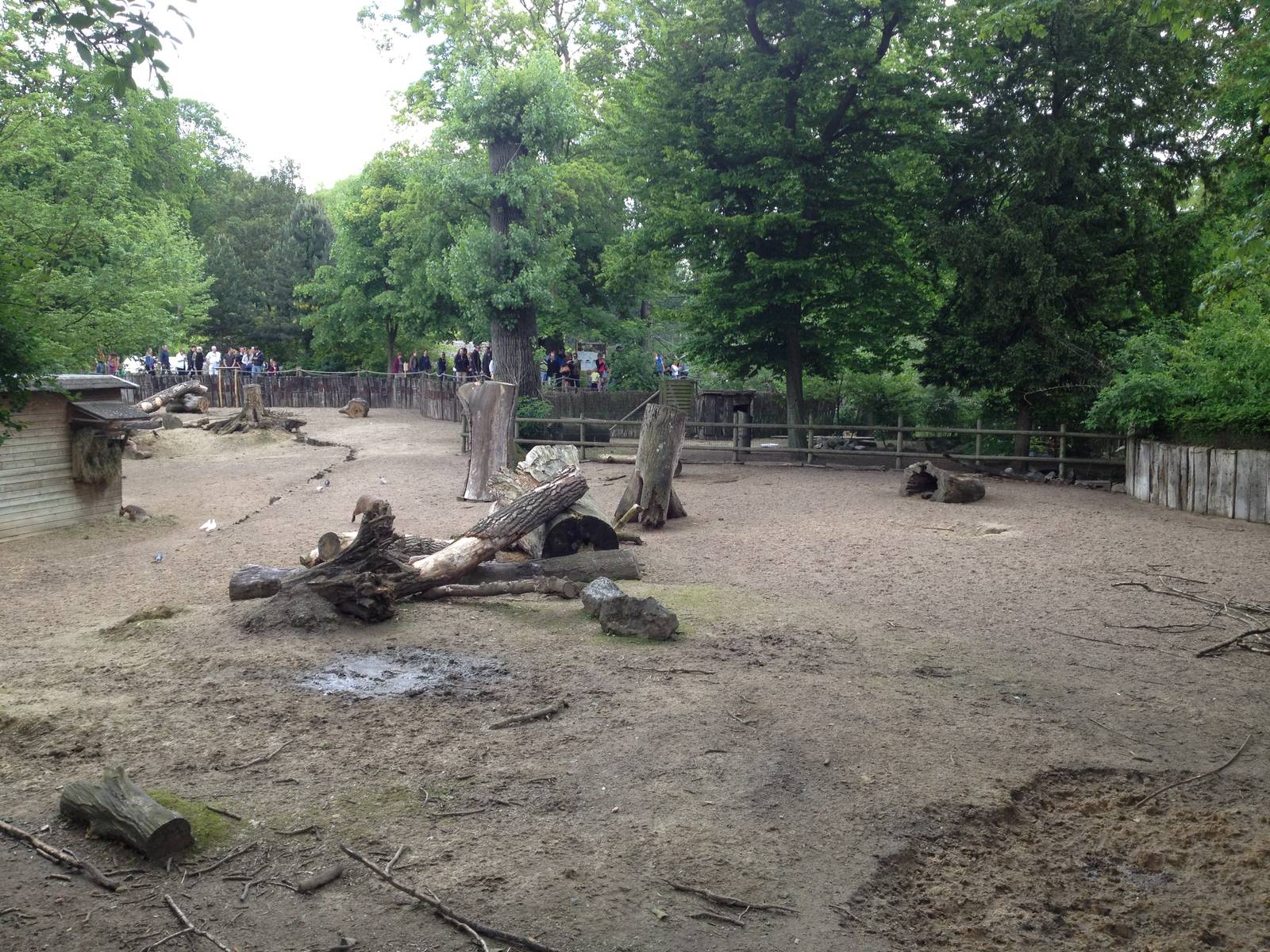 Lille Zoo South American paddock