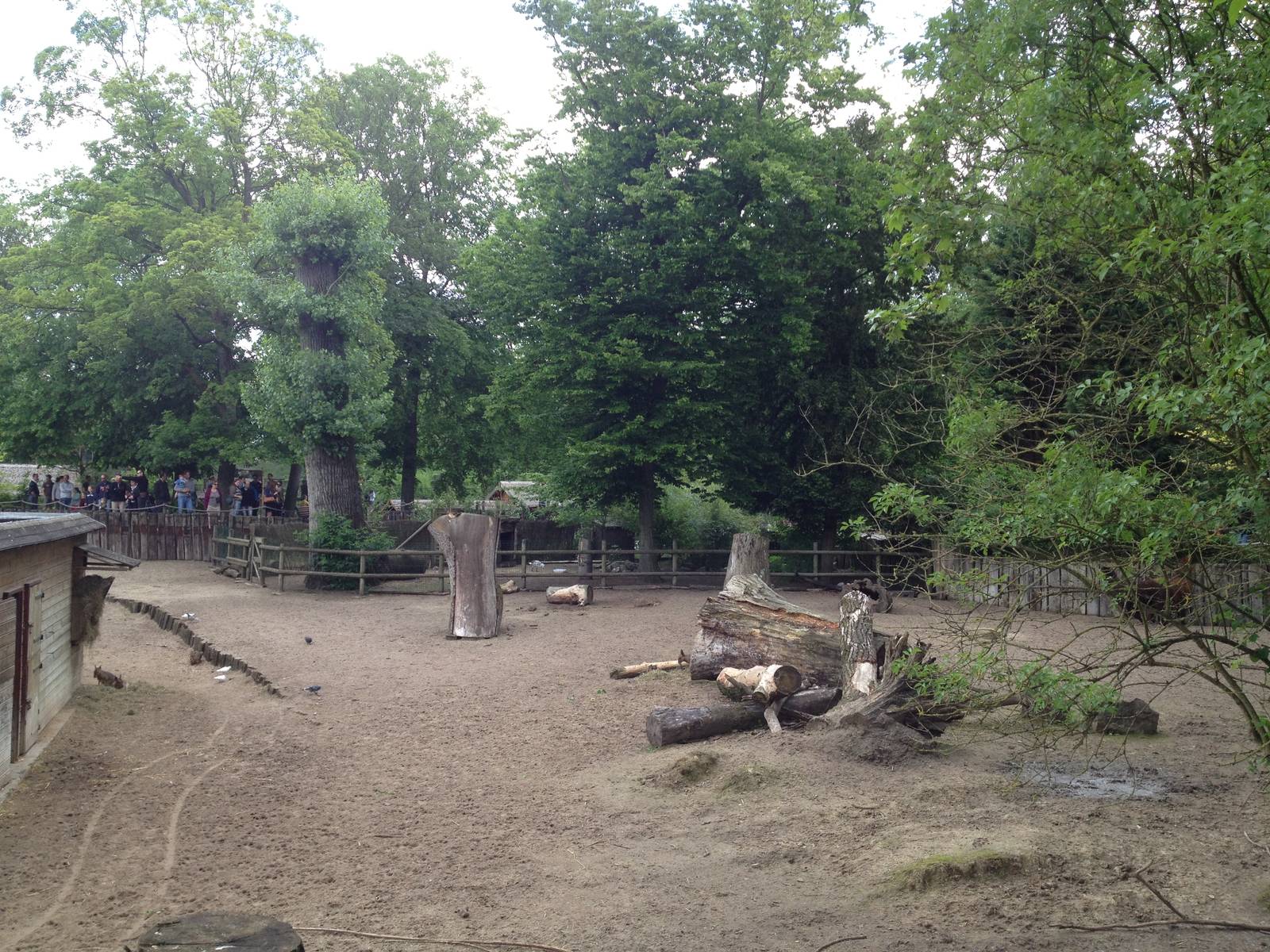 Lille Zoo South American paddock