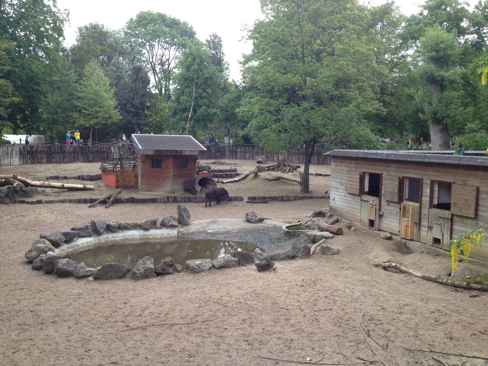 Lille Zoo South American paddock