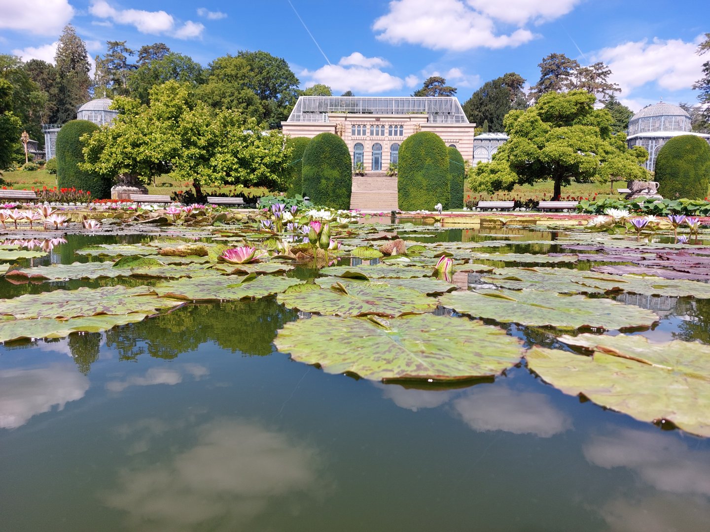 Lily pond in Moorish garden