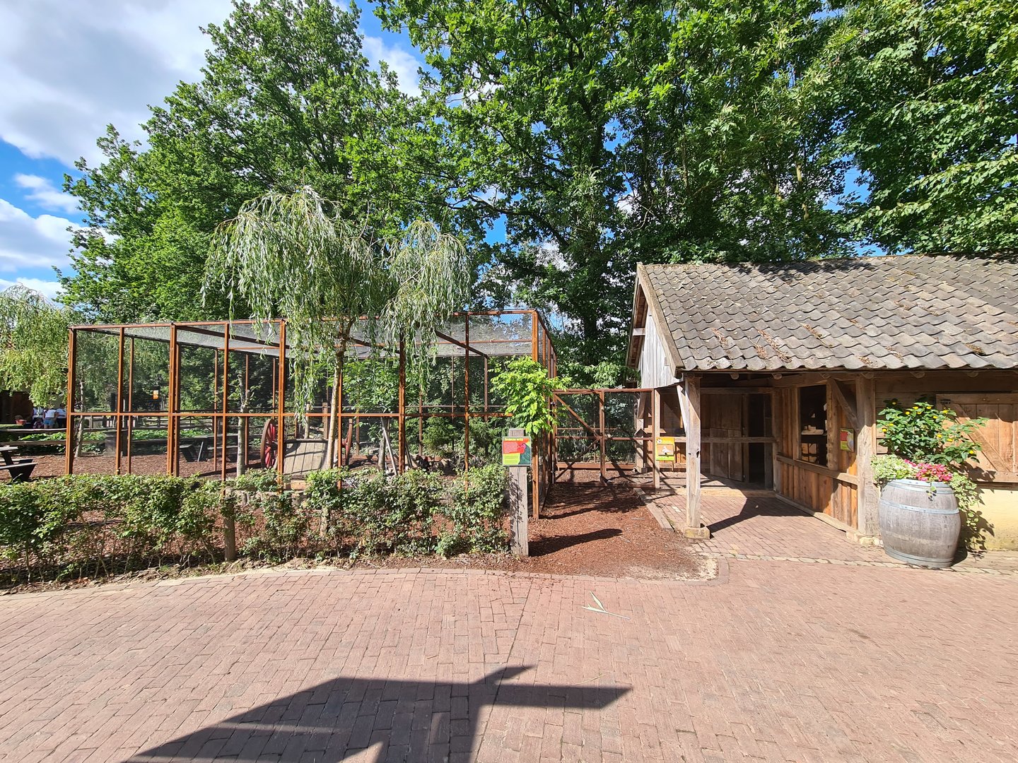Limburg farm - Chicken and Domestic pigeon aviary