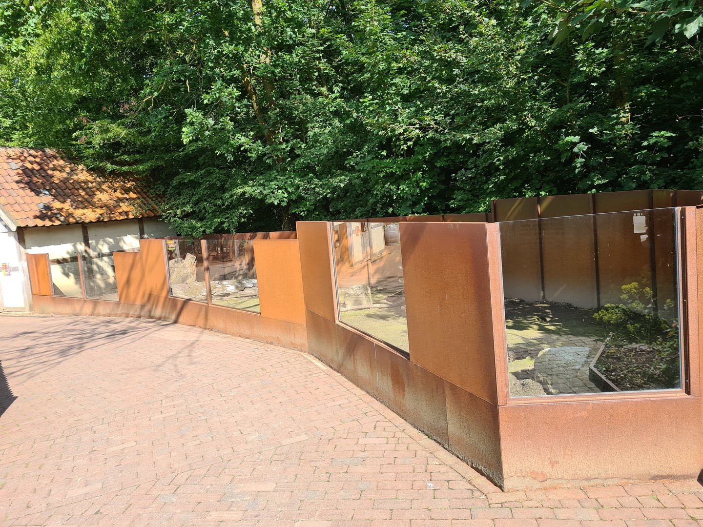 Limburg farm - Flemish giant enclosure