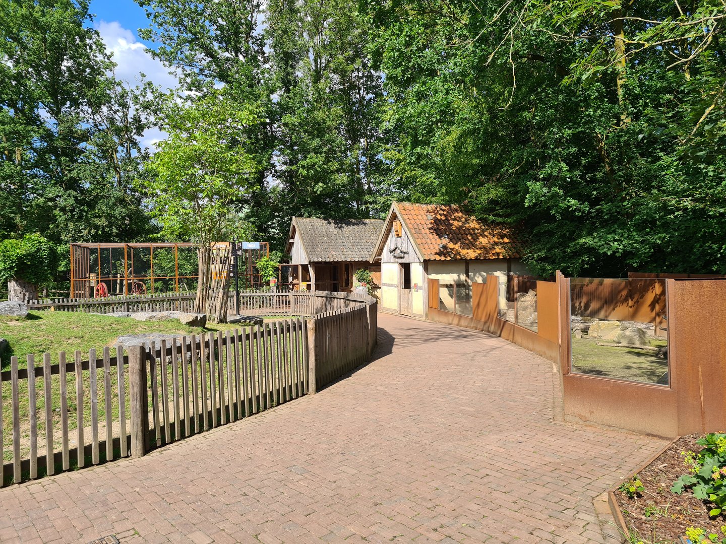 Limburg farm - Flemish giant (right) and Goat paddock (left)
