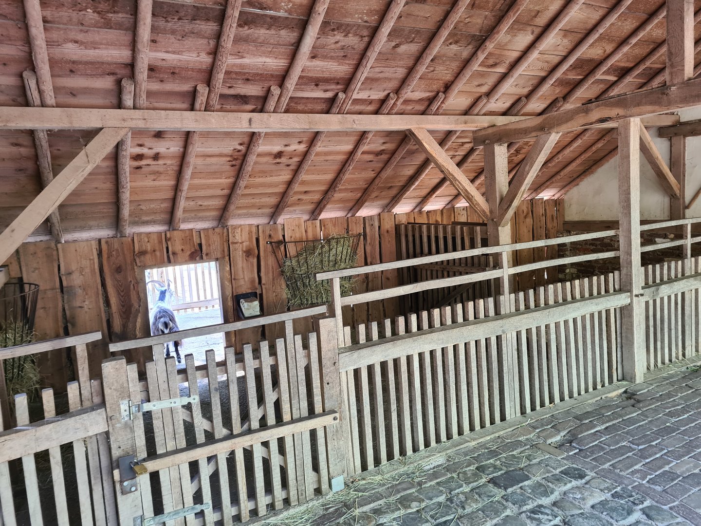 Limburg farm - Goat and Donkey indoor area