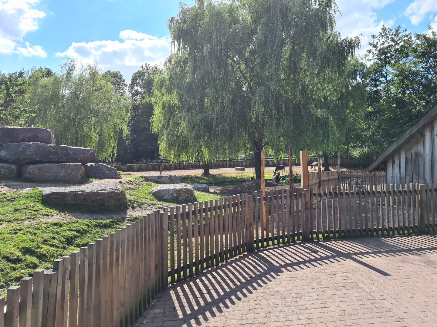 Limburg farm - Goat and Donkey yard