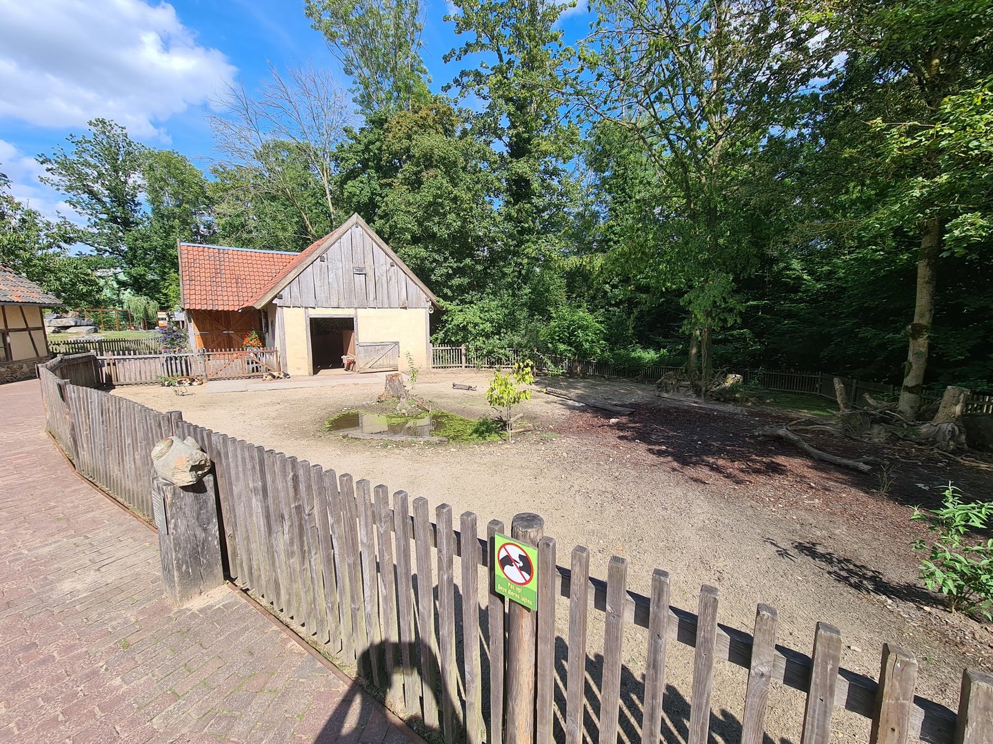 Limburg farm - Kune-Kune yard