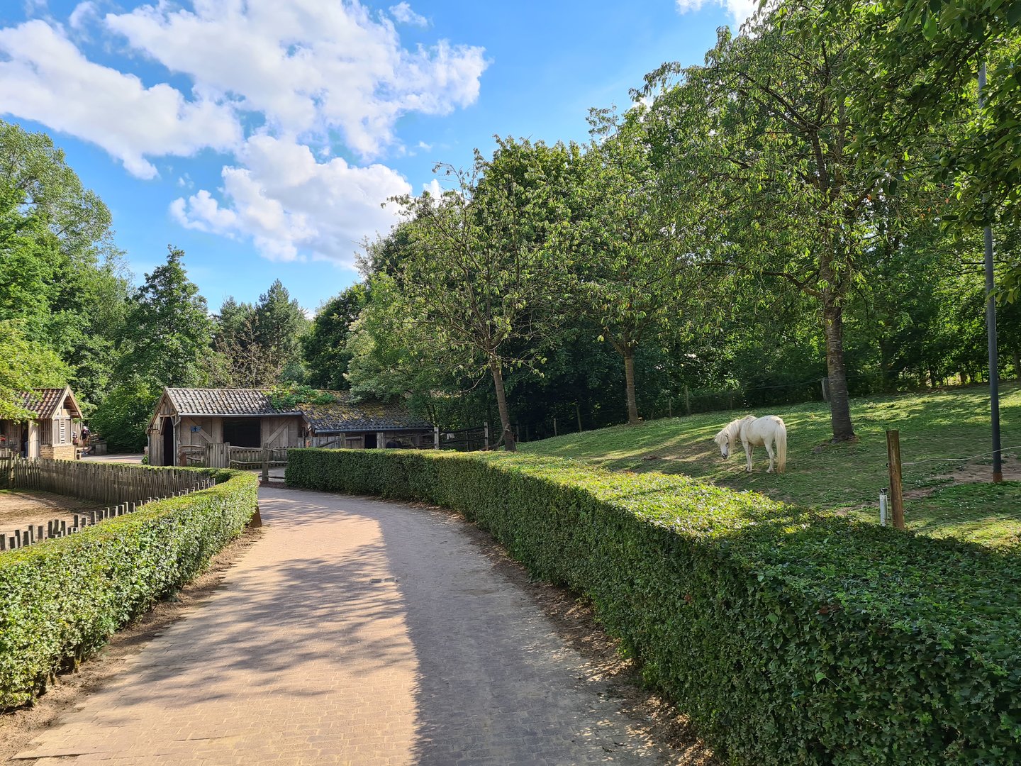 Limburg farm - Shetland pony yard