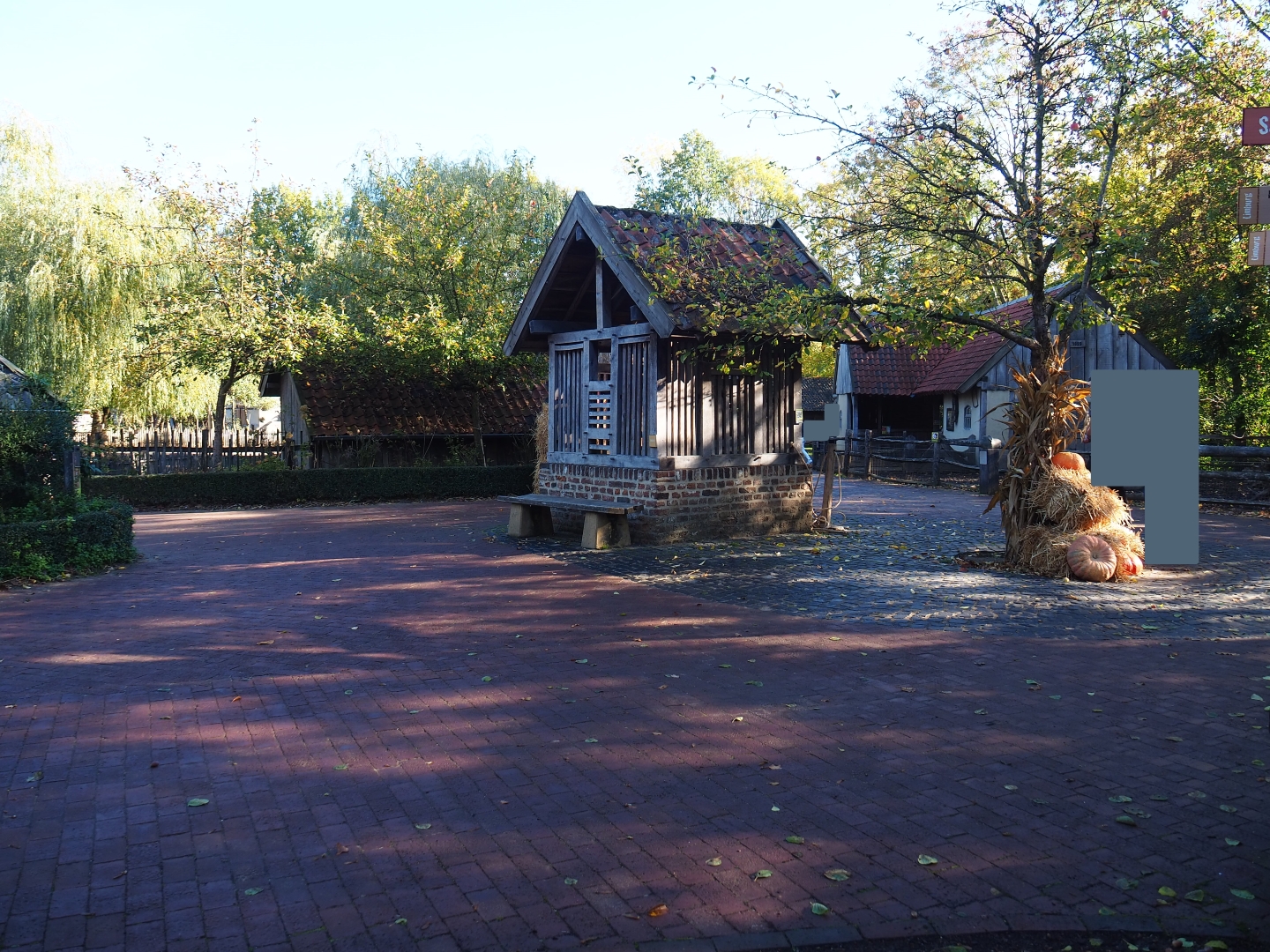 Limburg farm yard (Oct 13th, 2018)