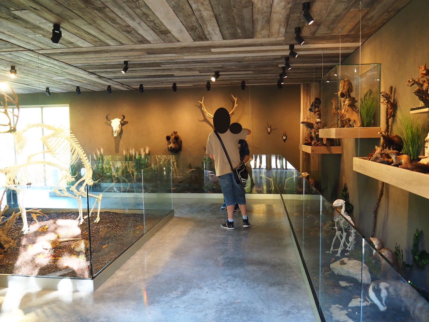 Limburg House museum floor (Oct 13th, 2018)