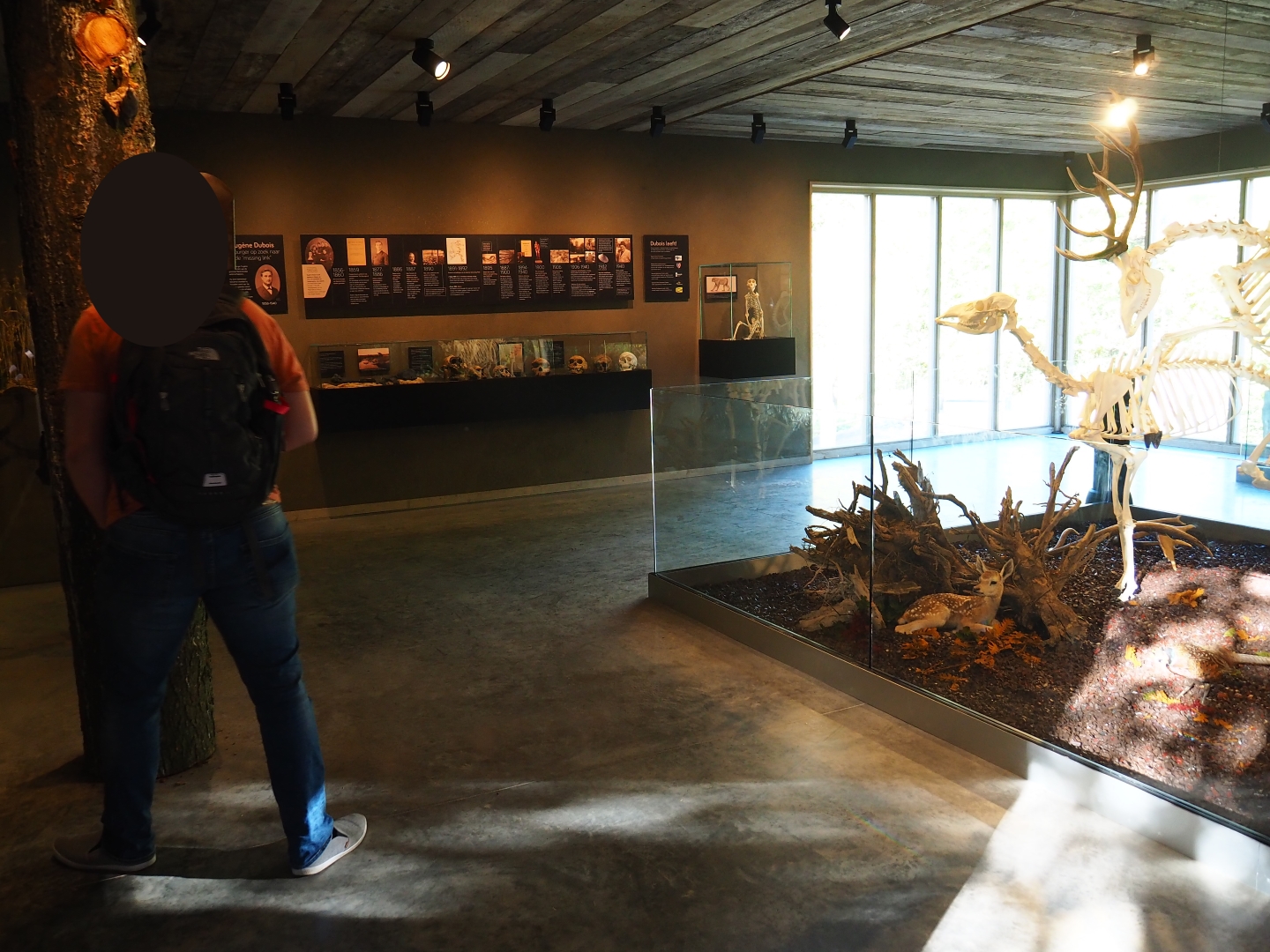 Limburg House museum floor (Oct 13th, 2018)