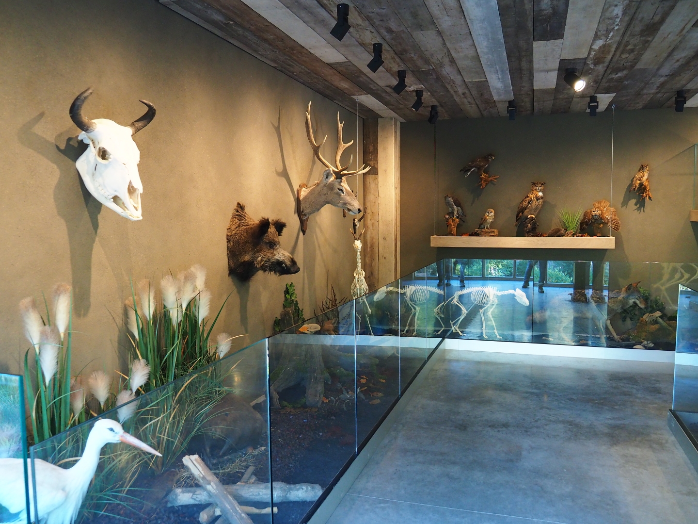 Limburg House museum floor (Oct 13th, 2018)