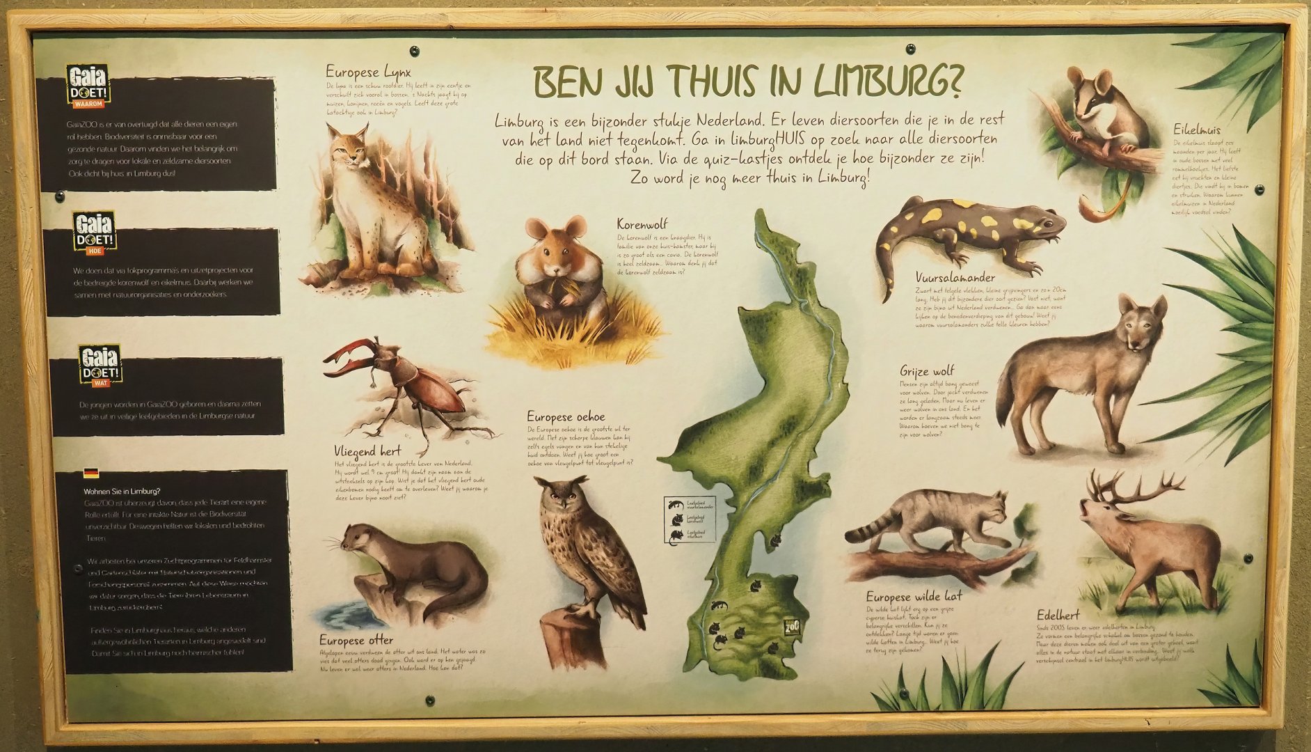 Limburg species sign, 2023-07-18