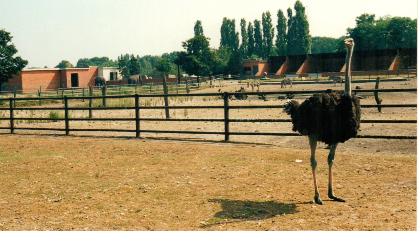 Limburgse Zoo, Genk - Zoo View