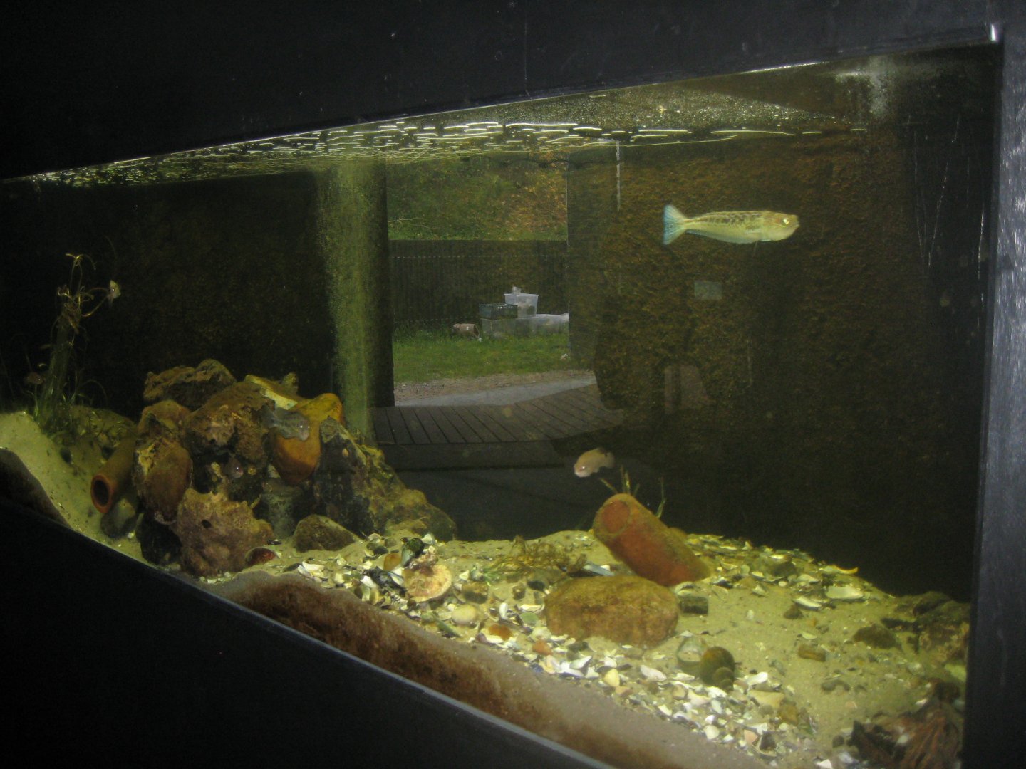 Limfjordsmuseet - Main building - Mixed tank