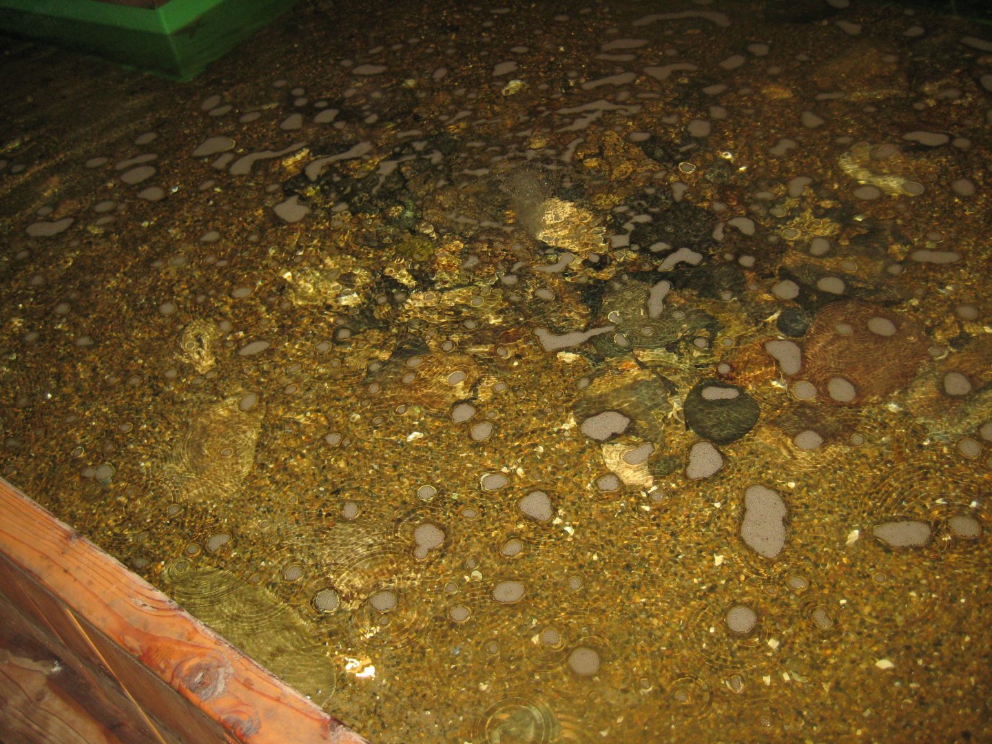 Limfjordsmuseet - Main building - Touch pool