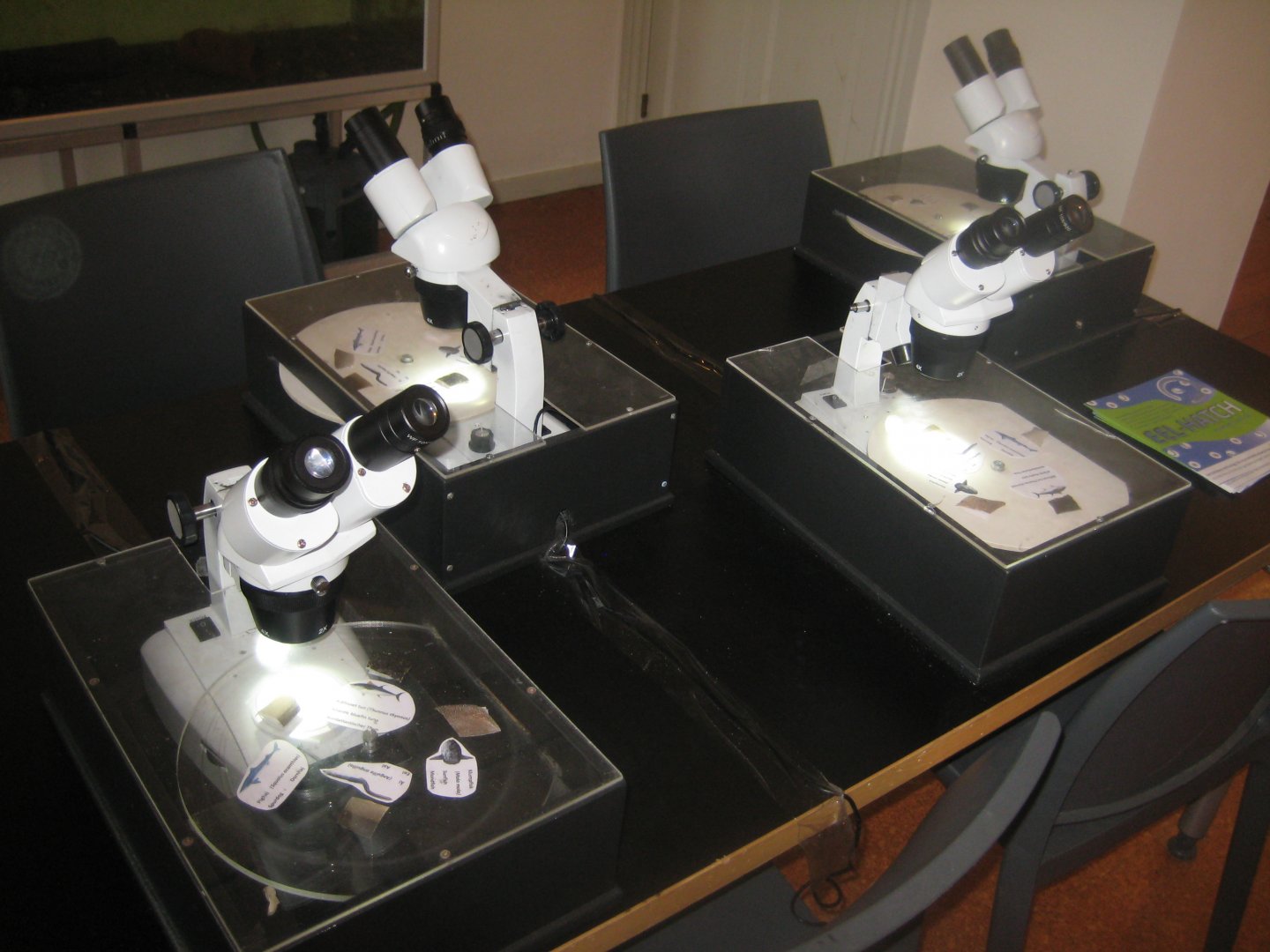 Limfjordsmuseet - The harbormaster's house - Exhibition