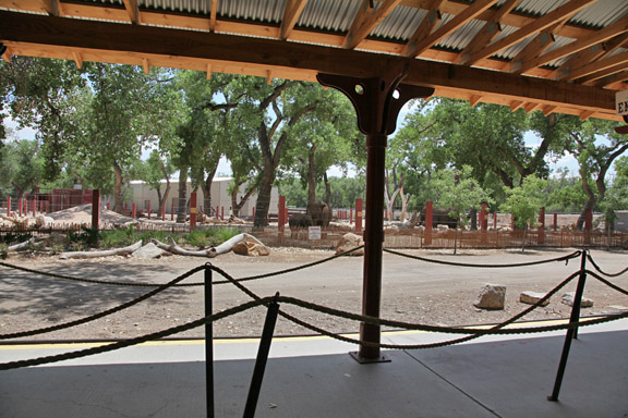 limited elephant viewing