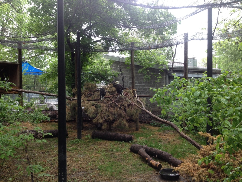 Lincoln Children's Zoo