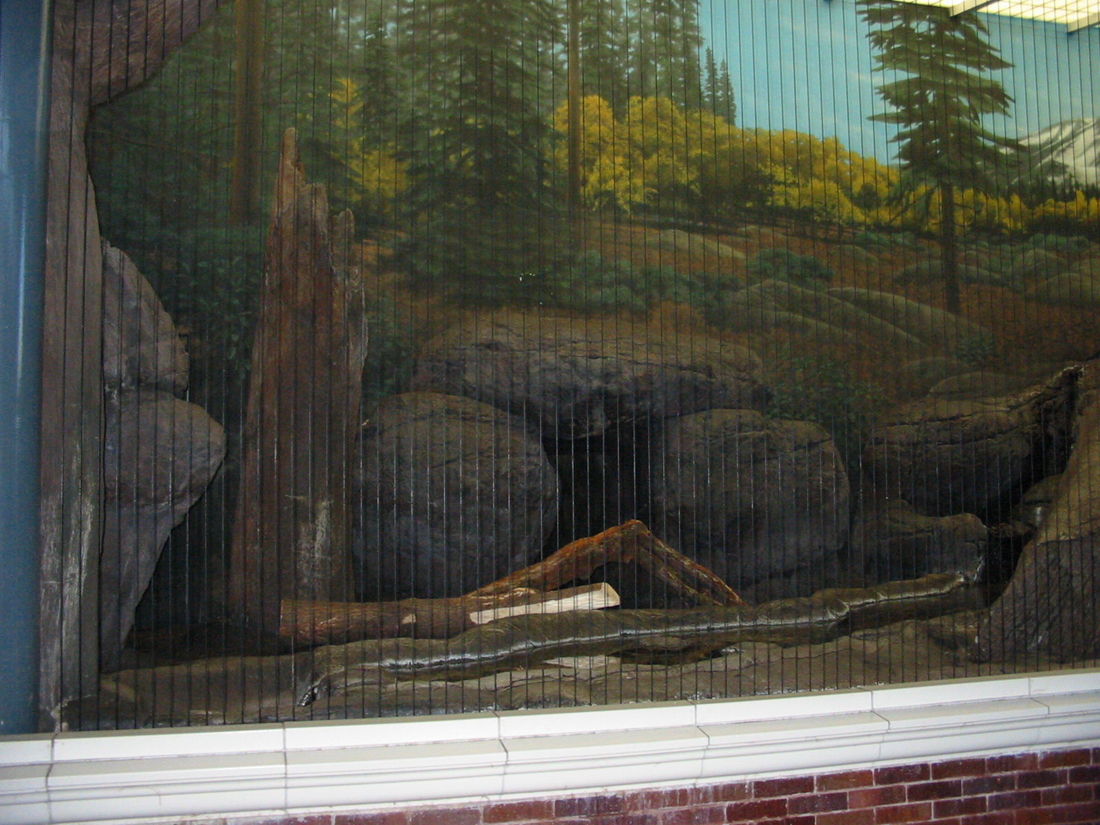 Lincoln Park Zoo 2003 - Exhibit in the Kovler Lion House