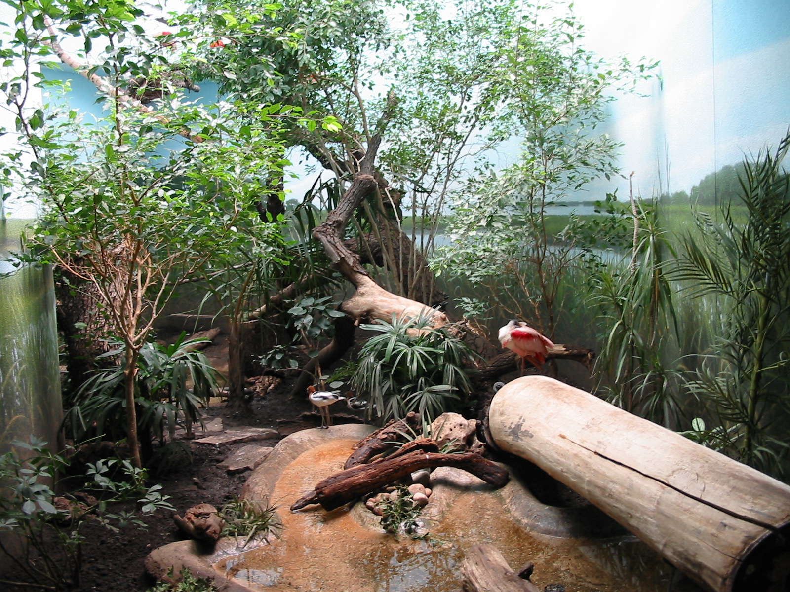 Lincoln Park Zoo 2003 - Exhibit in the McCormick Bird House