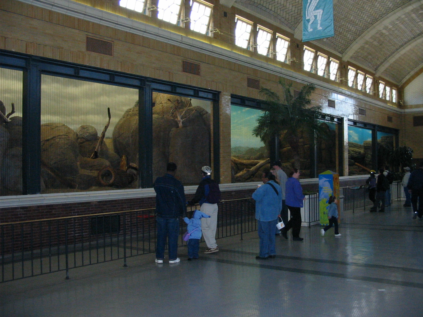 Lincoln Park Zoo 2003 - Inside the Kovler Lion House