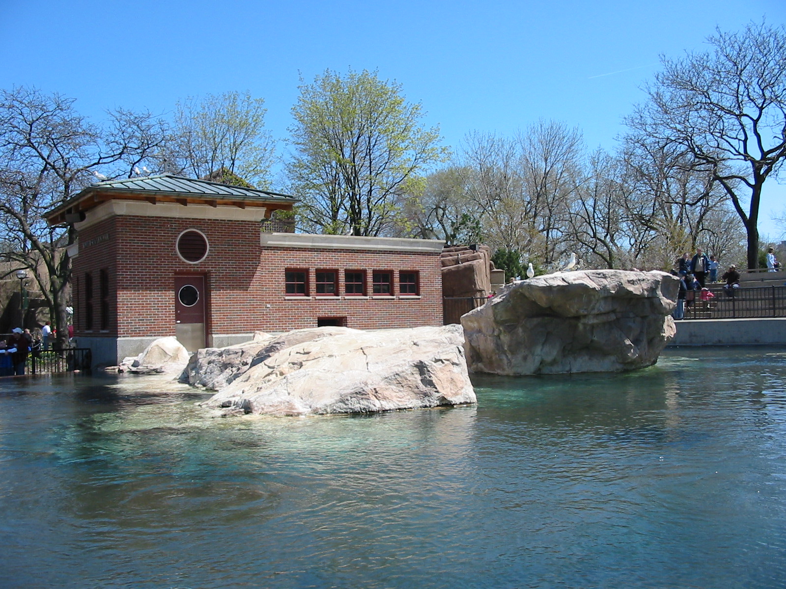 Lincoln Park Zoo 2003 - Kovler Sea Lion Pool