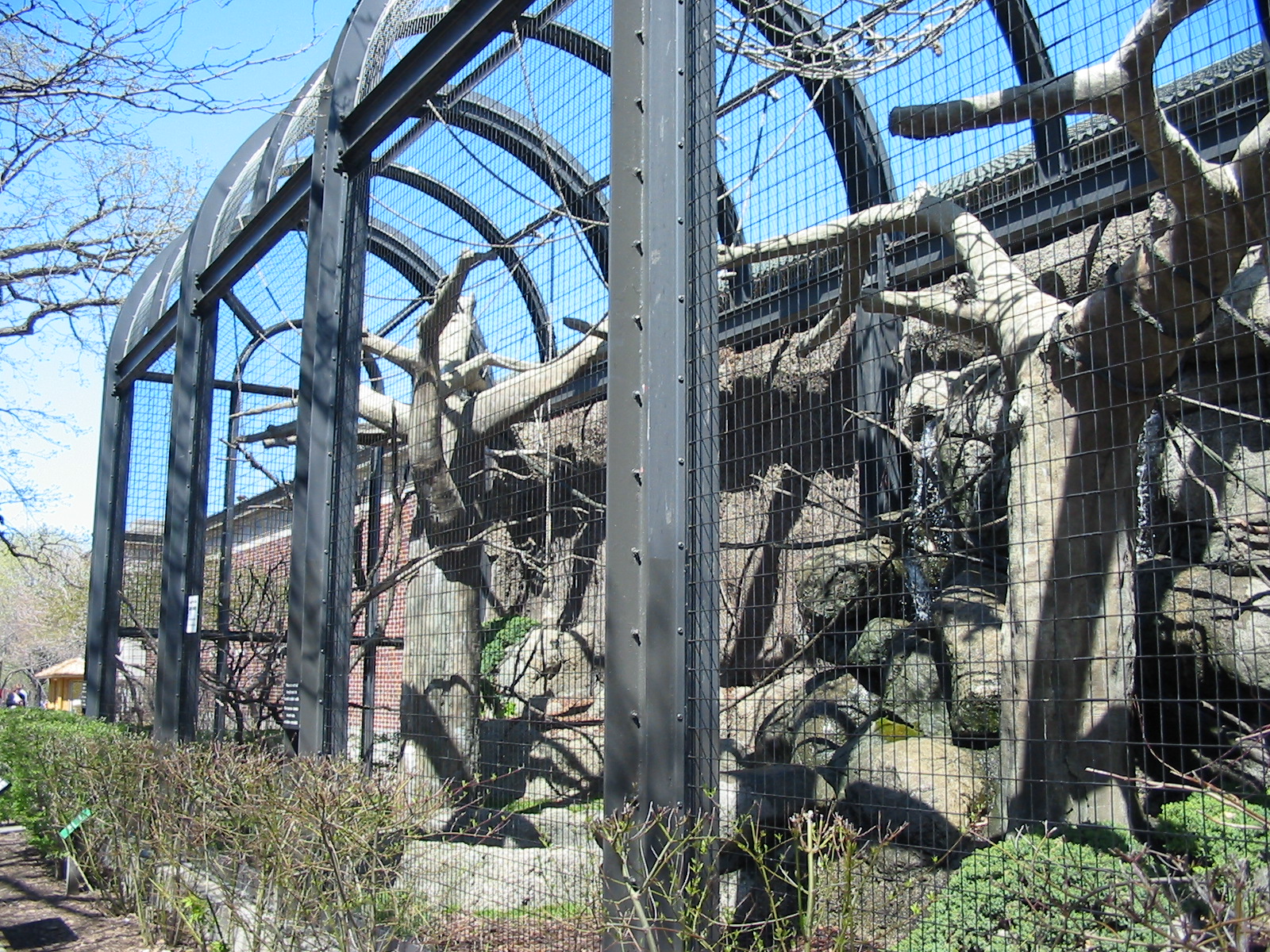 Lincoln Park Zoo 2003 - Outdoor enclosure at the Kovler Lion House