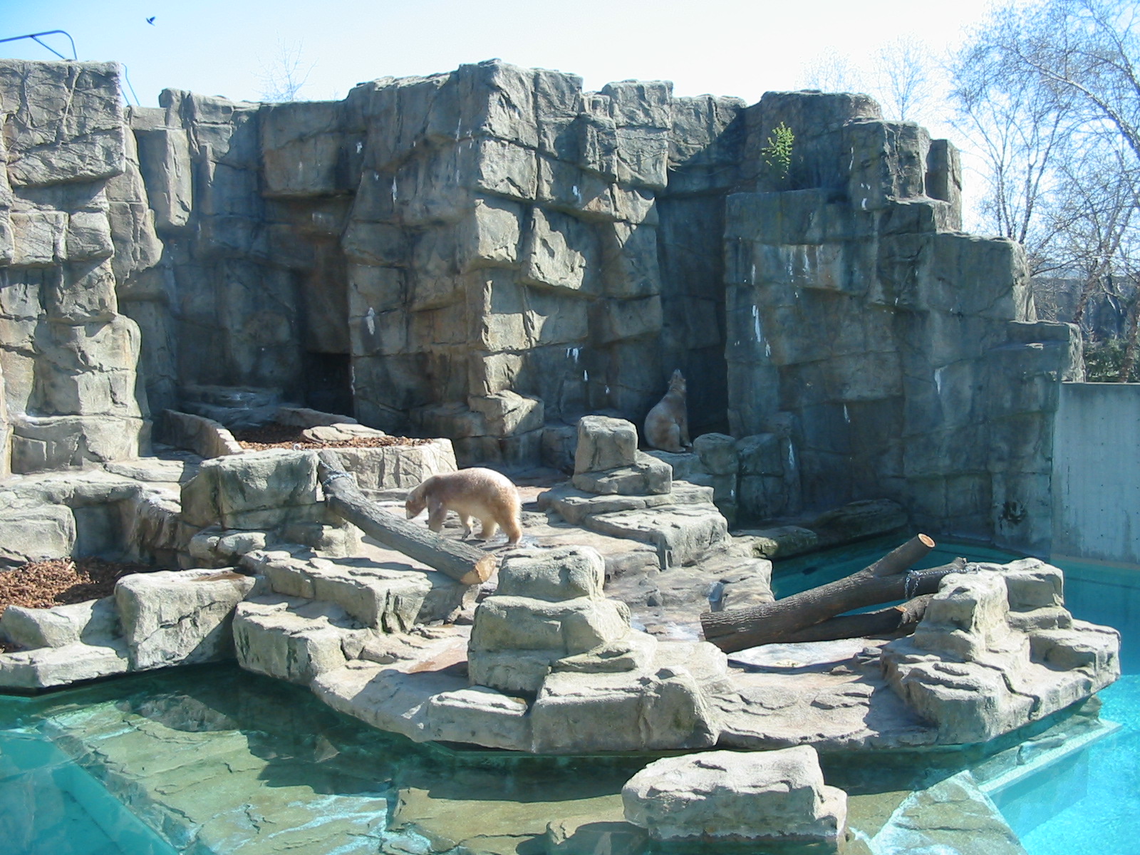 Lincoln Park Zoo 2003 - Polar Bear exhibit in the McCormick Bear Habitat