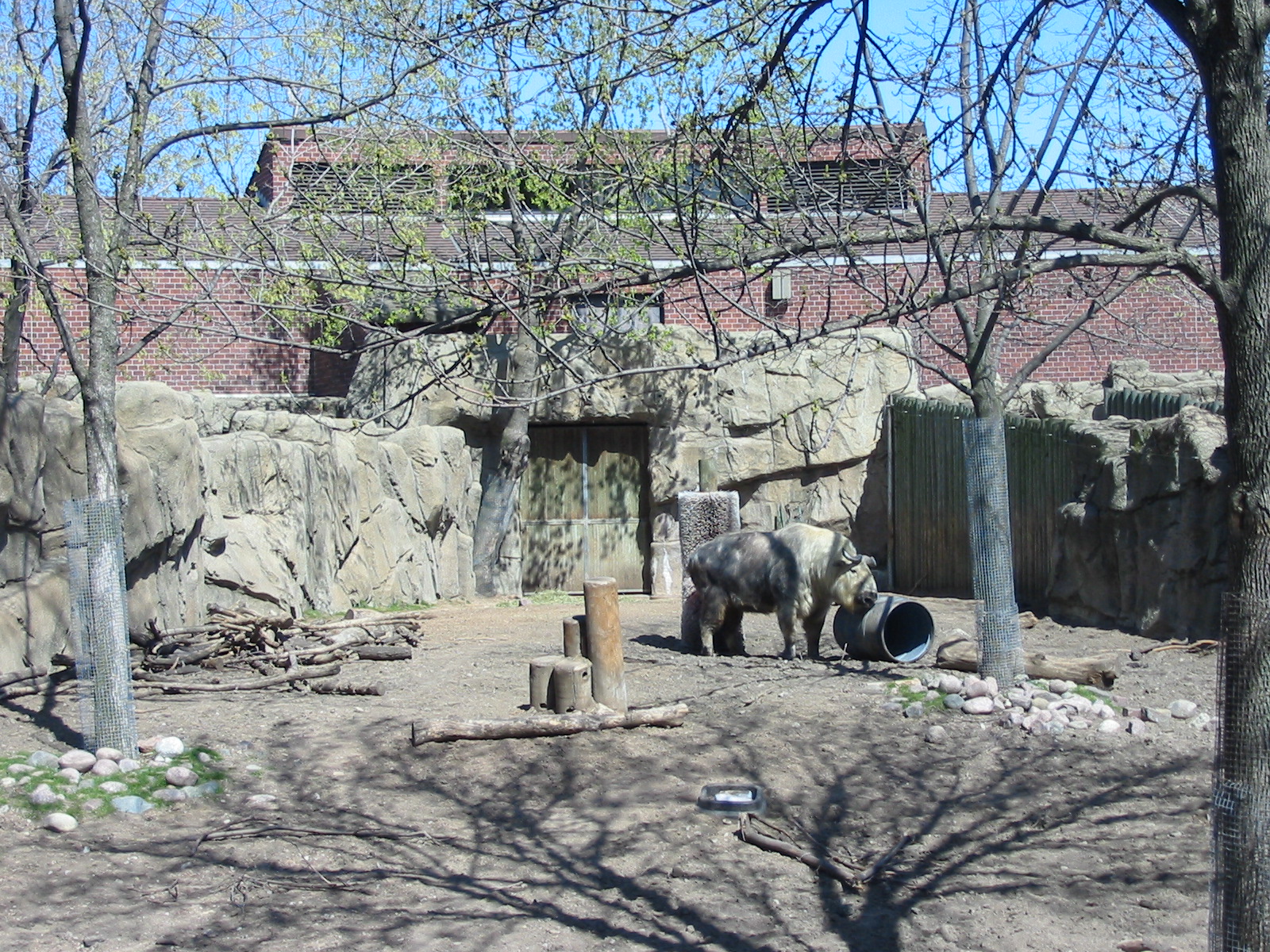 Lincoln Park Zoo 2003 - Sichuan Takin exhibit in the Antelope and Zebra are