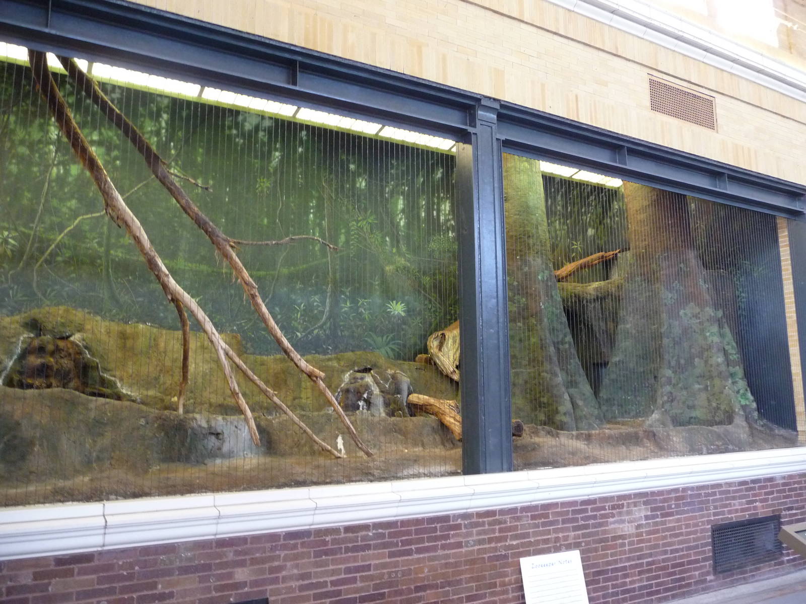 Lincoln Park Zoo - Jaguar Exhibit