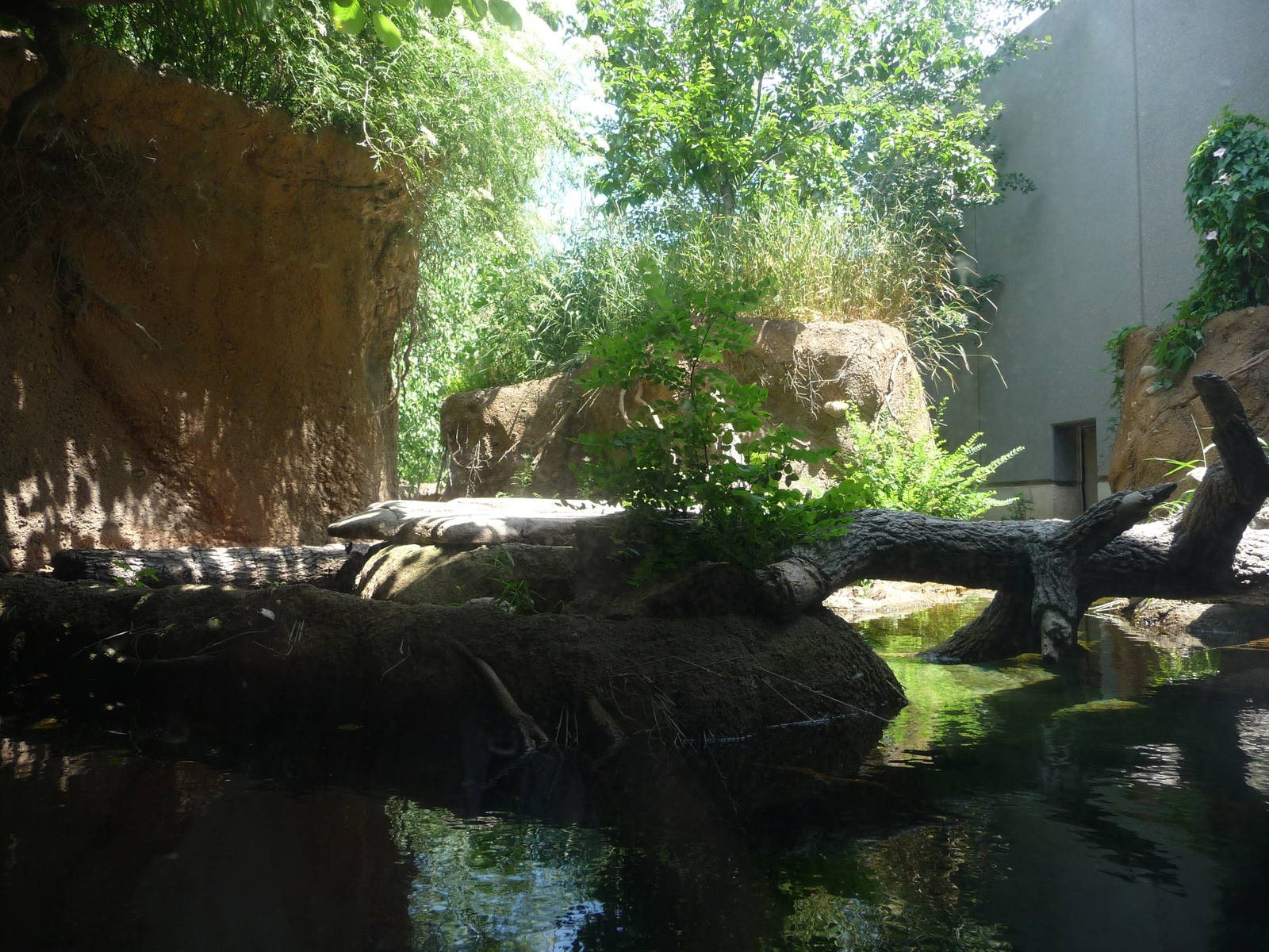 Lincoln Park Zoo - River Otter Exhibit