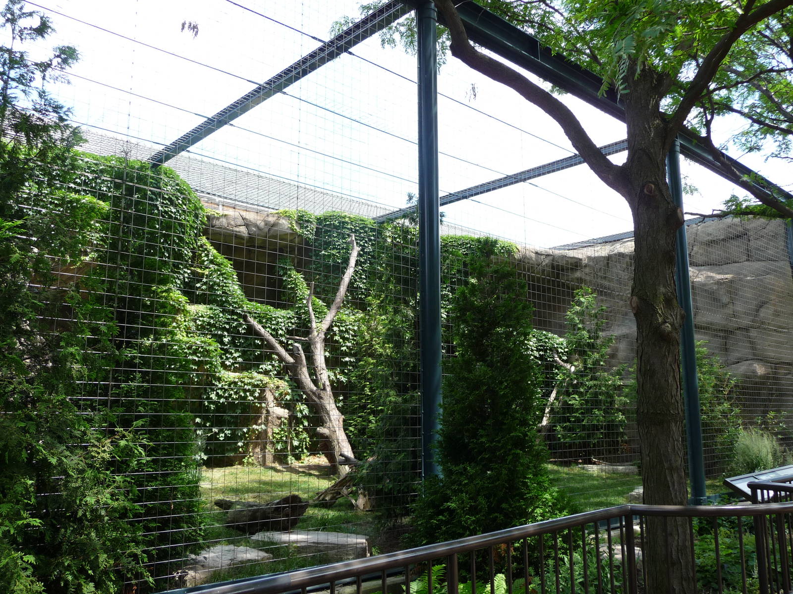 Lincoln Park Zoo - Snow Leopard Exhibit