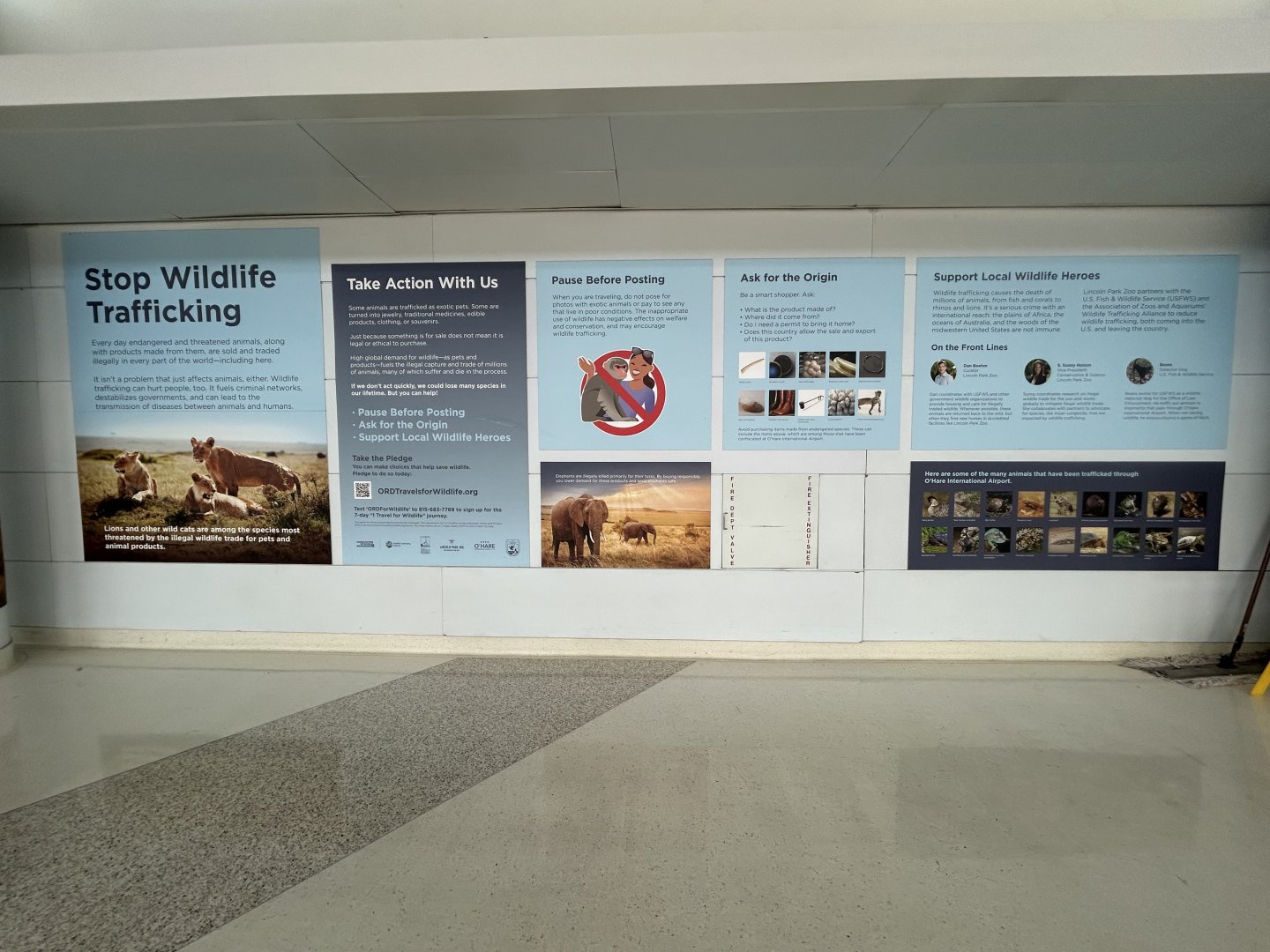 Lincoln Park Zoo Wildlife Trafficking Display - O’hare International Airport