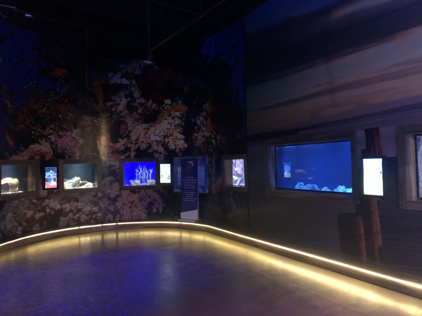 Line of small tanks at Emaar aquarium