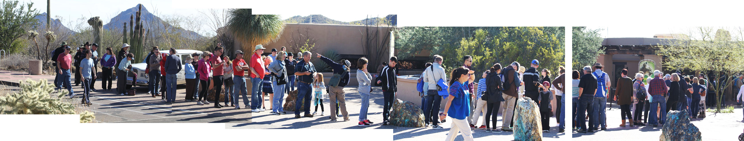 Line (queue) to get in