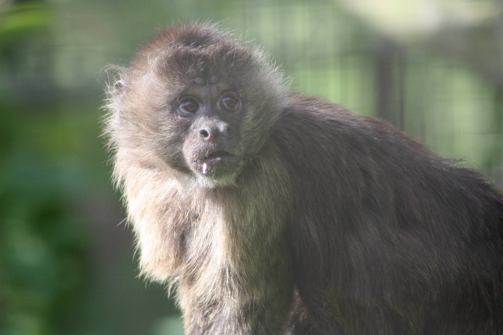 Linford, 26th May 2014