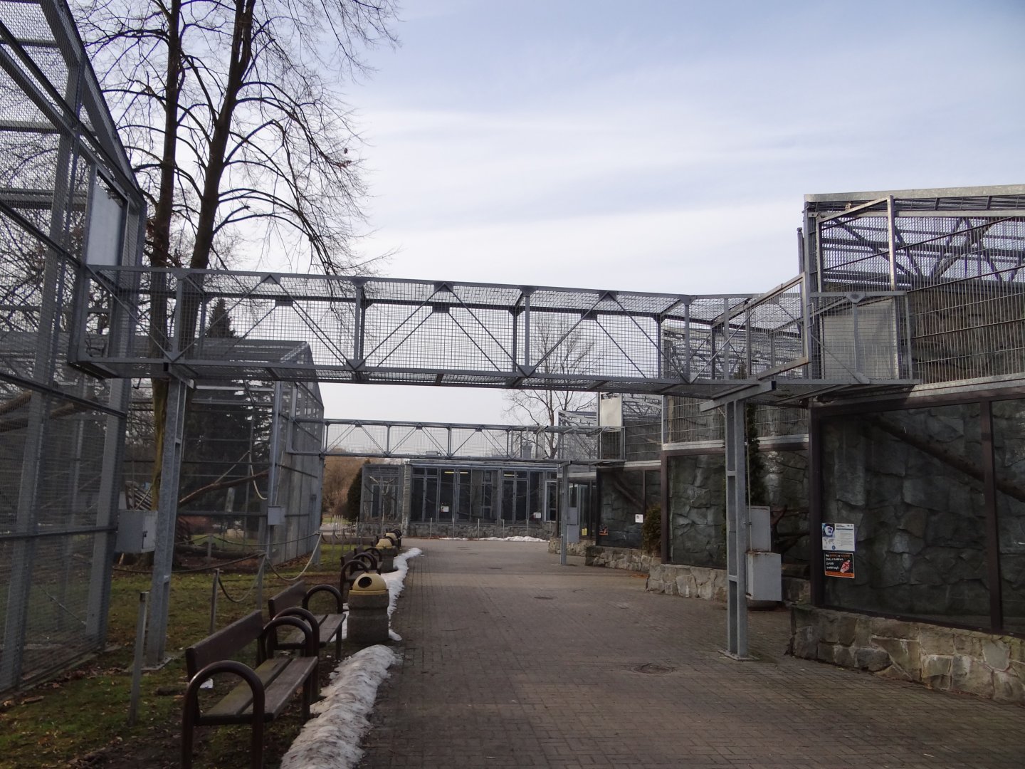 Link between old and new  monkey enclosures