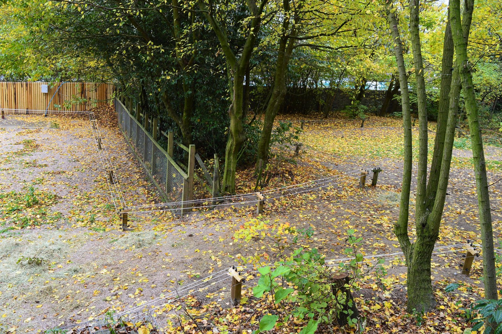 Link to camel paddock extension