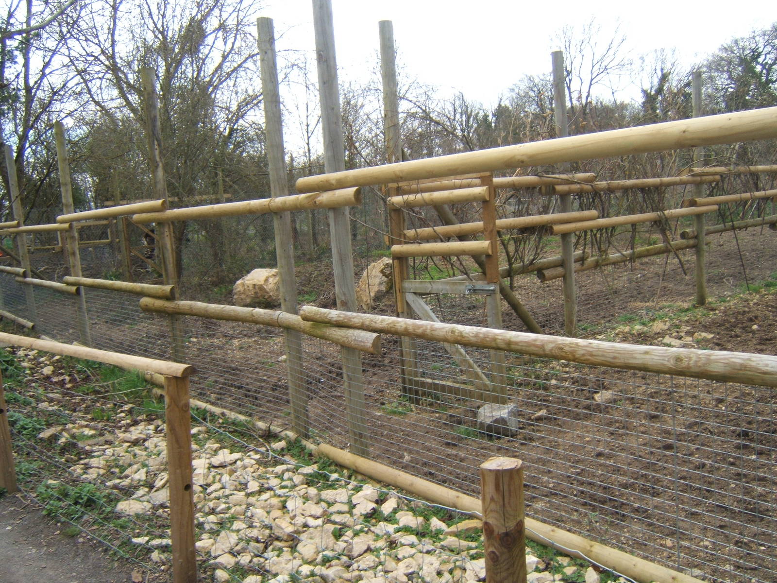 Linkage from new Okapi paddock and what was the Red River Hog Paddock