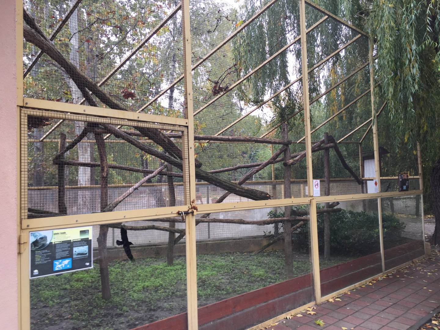 Linnaeu's two-toad sloth, hermann's, greek and maybe african spurred tortoise enclosure 10.2020.