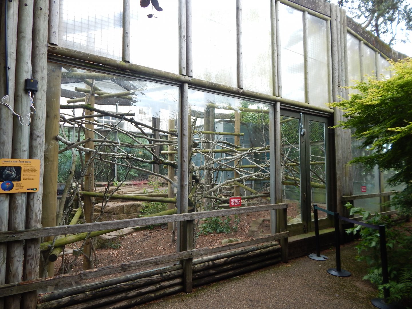Linnaeus' two-toed sloth enclosure 190622