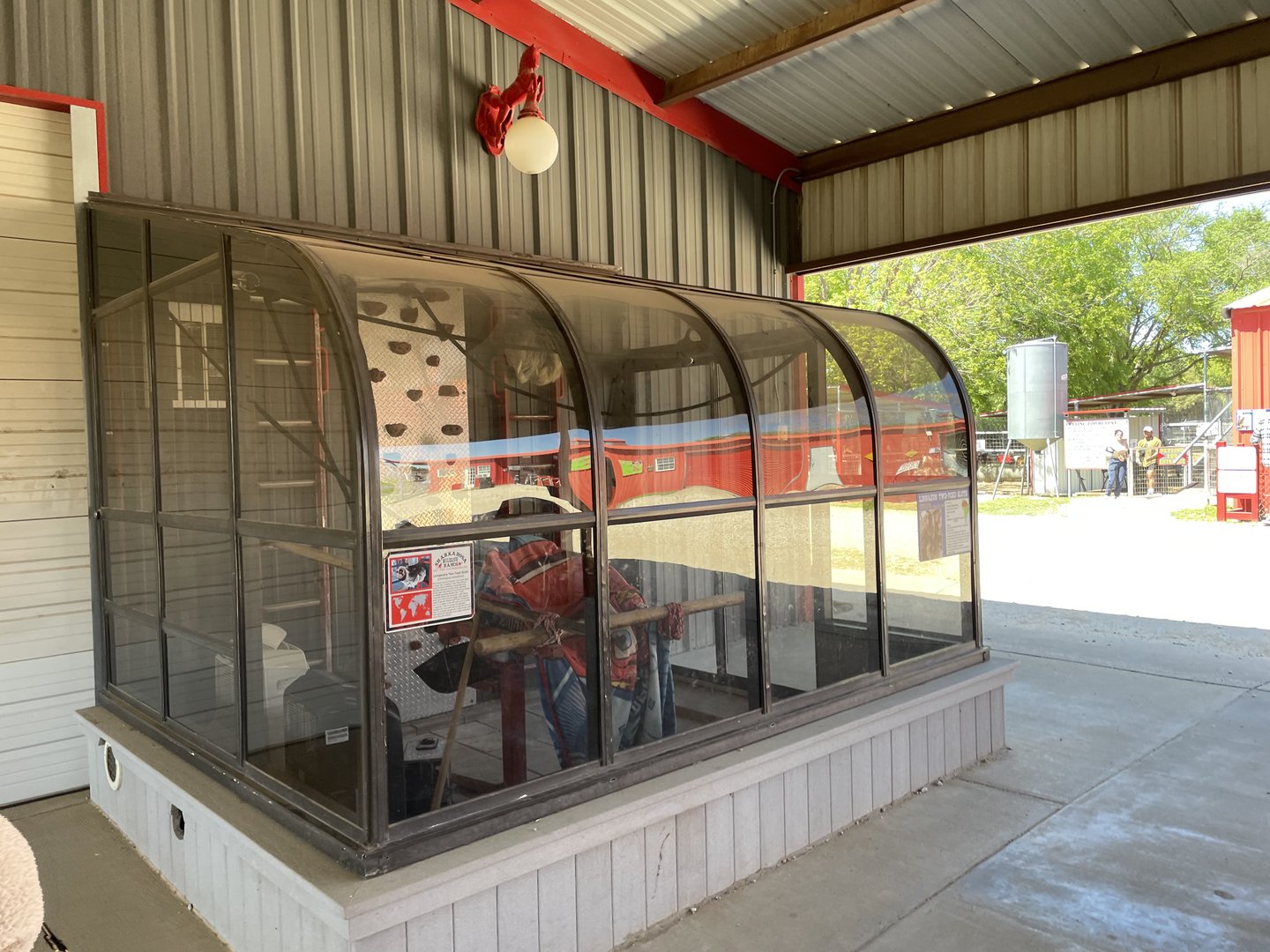 Linnaeus’ Two-Toed Sloth Exhibit