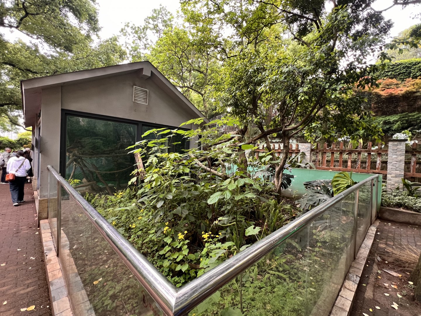 Linnaeus’ Two-toed Sloth Exhibit