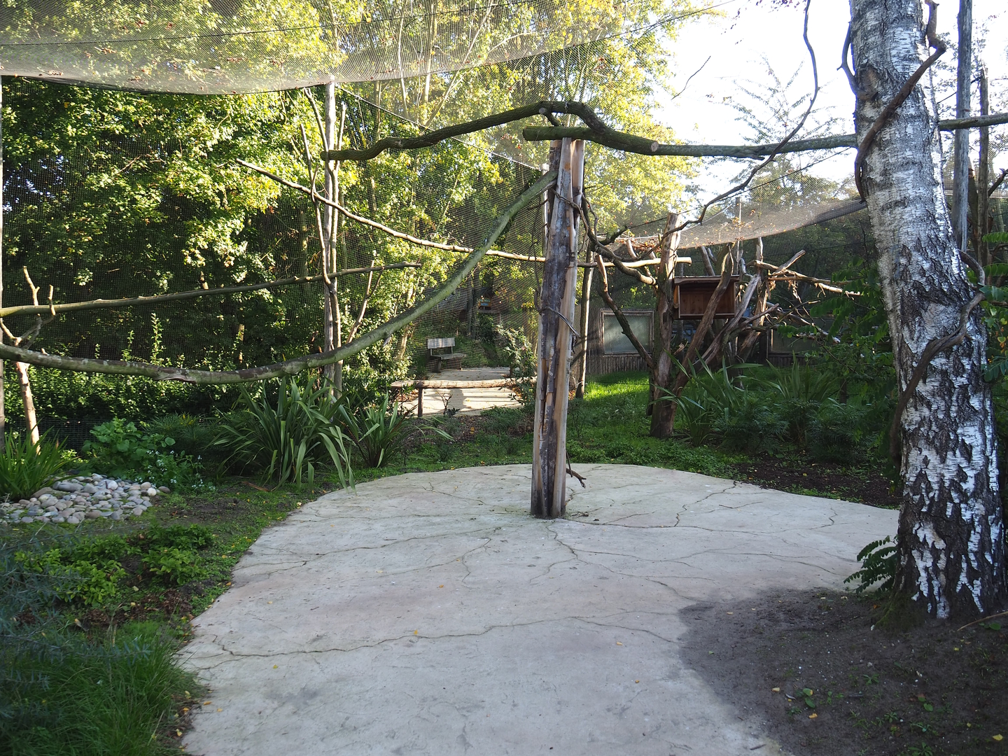 Linnaeus' two-toed sloth, Golden lion tamarin and White-faced saki outdoor walk-through exhibit, 2022-10-09