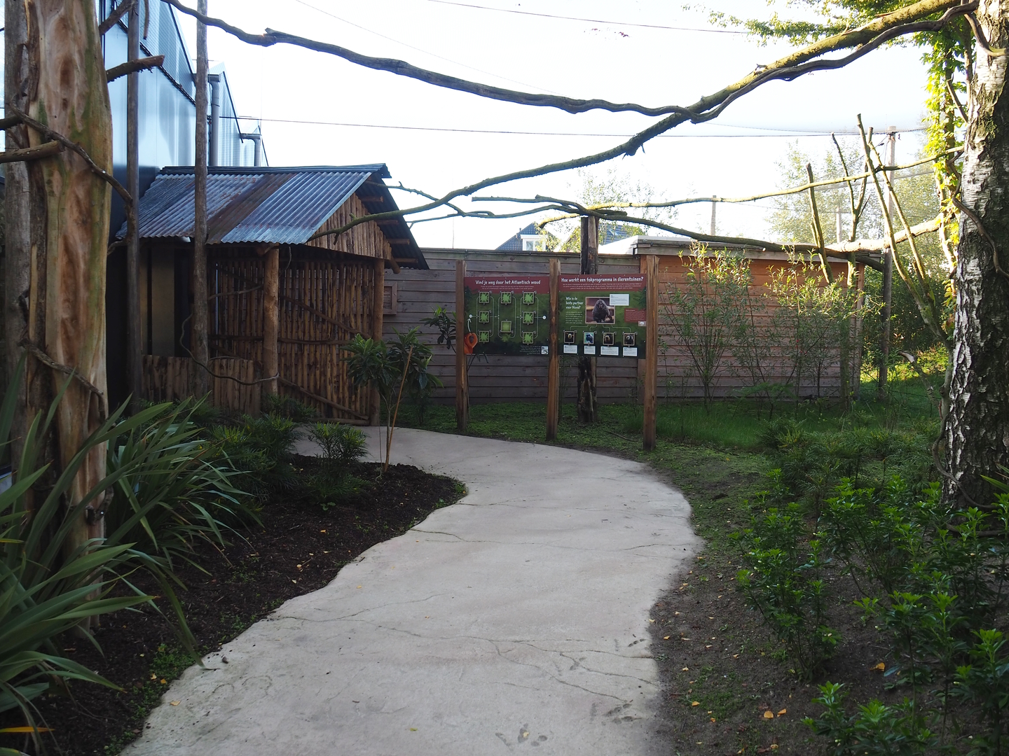 Linnaeus' two-toed sloth, Golden lion tamarin and White-faced saki outdoor walk-through exhibit, 2022-10-09