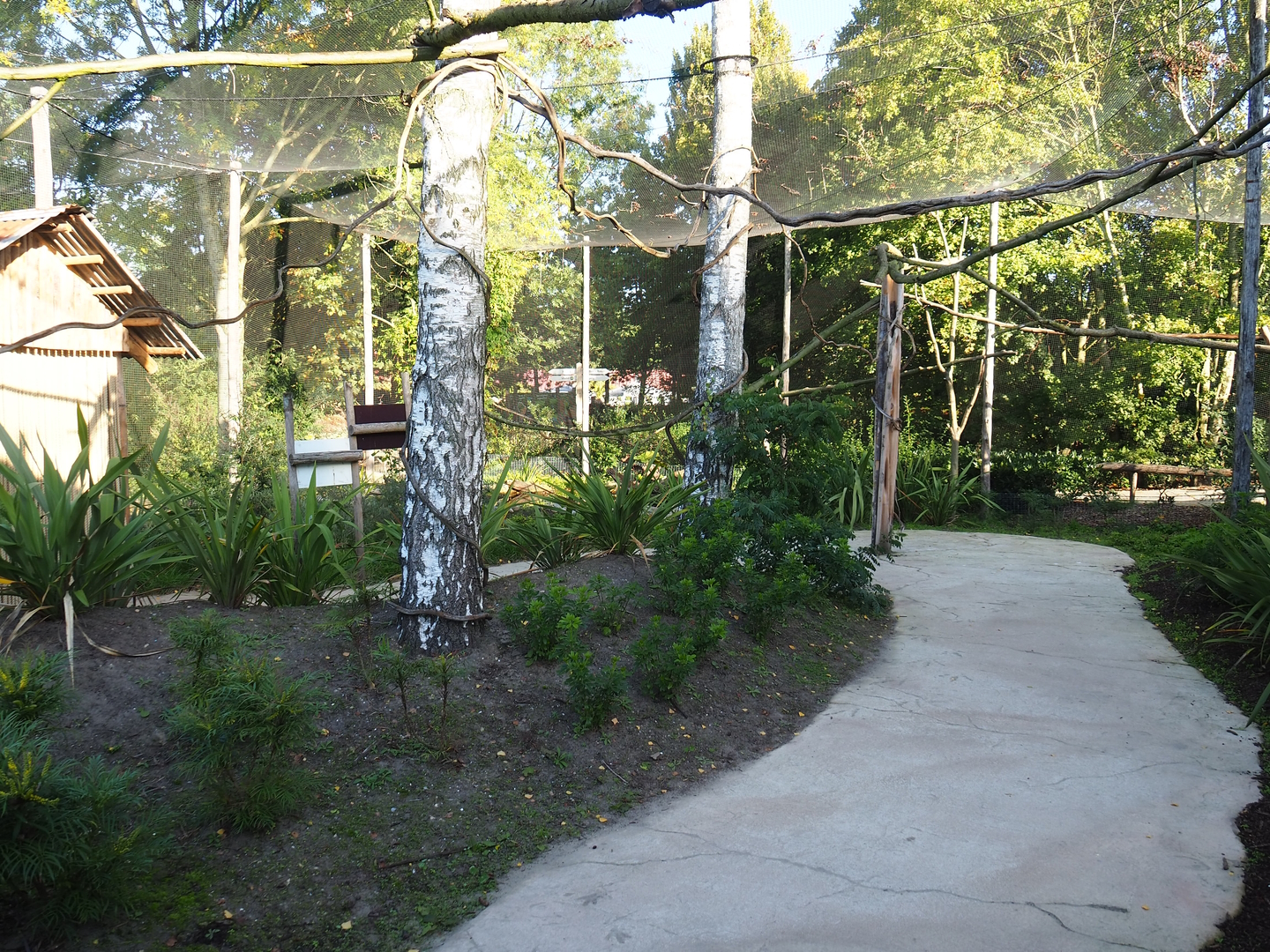 Linnaeus' two-toed sloth, Golden lion tamarin and White-faced saki outdoor walk-through exhibit, 2022-10-09